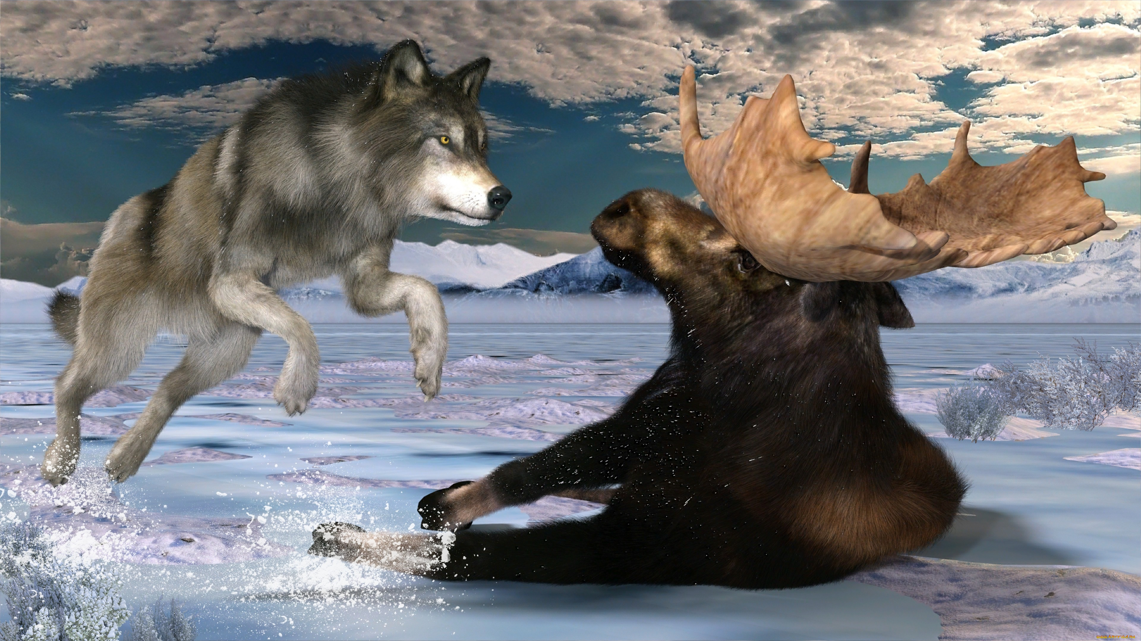 Про лося и волка. Волки. Дикий волк. Волк и Северный олень.